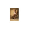 Body, grande taille, chair et noir 
